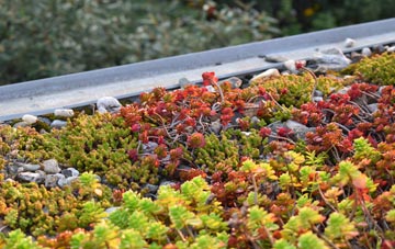 the cost of Isleworth green roof installation